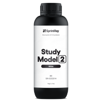 Study Model White 2