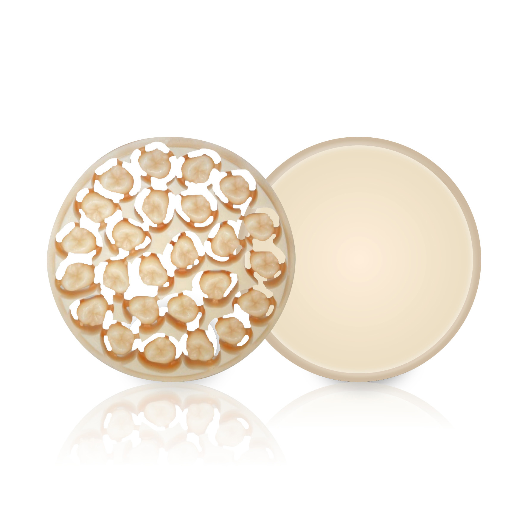 Ambarino High-Class Disc D2